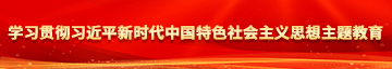 水嫩骚逼学习贯彻习近平新时代中国特色社会主义思想主题教育